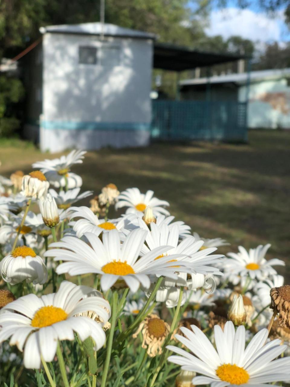 Lazy Days Caravan Park Vasse Luaran gambar